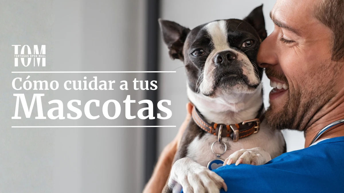 Cómo cuidar a tus mascotas en los días frescos y todo lo que encontrás en TOM