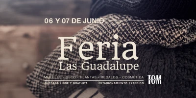 ¡Feria Las Guadalupe!