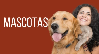 Mascotas