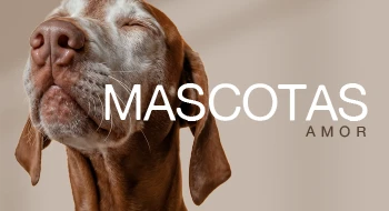 Mascotas